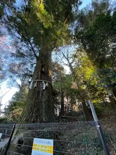 高尾山薬王院(東京都)