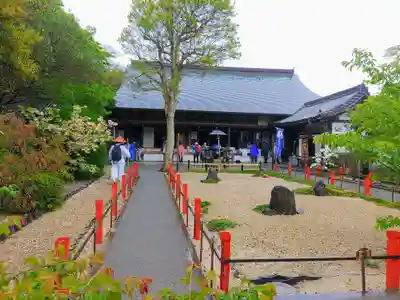大御堂寺(野間大坊)の本殿・本堂