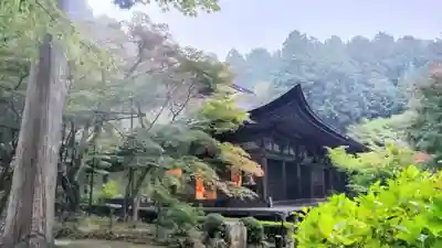 金剛輪寺(滋賀県)