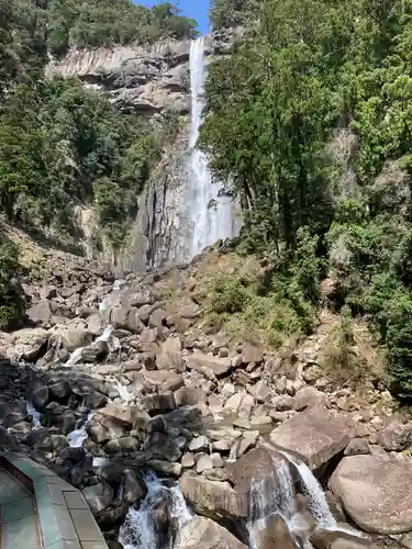 飛瀧神社（熊野那智大社別宮）の自然