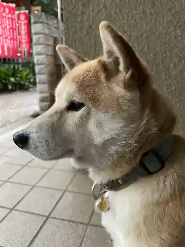 笠䅣稲荷神社(神奈川県)