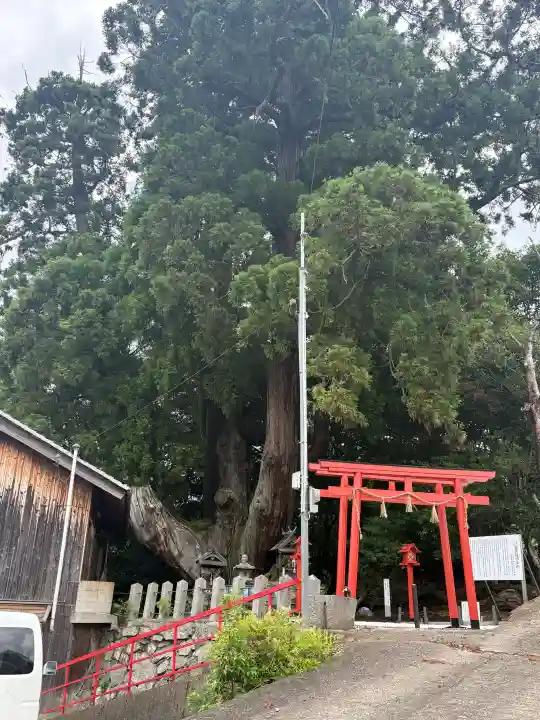 八坂神社(京都府)
