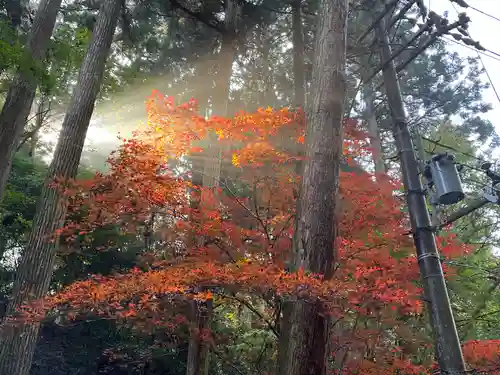 比叡山延暦寺(滋賀県)