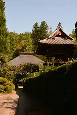 安楽寺(長野県)