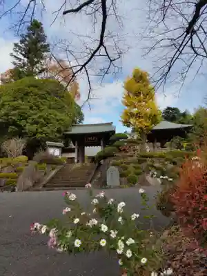 玉泉寺の山門・神門