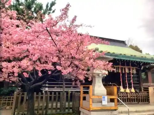 新宿下落合氷川神社(東京都)