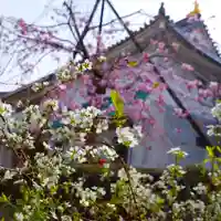 寿量山 速成寺(奈良県)