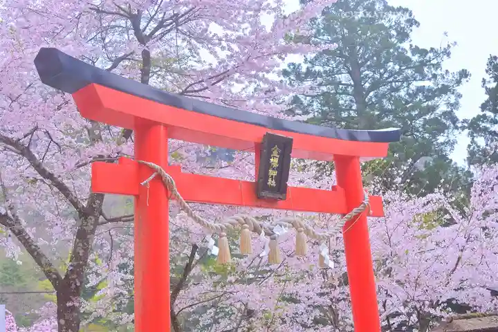 金櫻神社(山梨県)