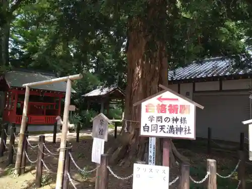 白岡八幡神社の歴史