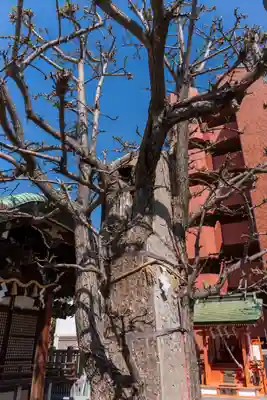 五條宮(大阪府)