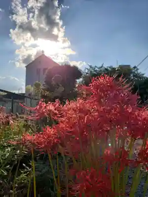 福寿院(東京都)