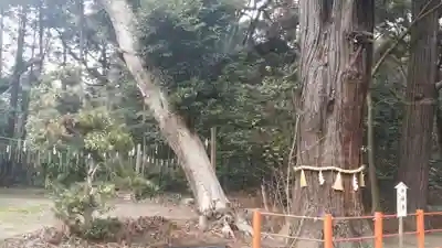 息栖神社のその他建物