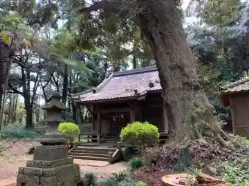 第六神社の本殿・本堂