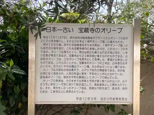 宝蔵寺の歴史