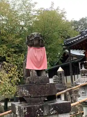 氷室神社の狛犬