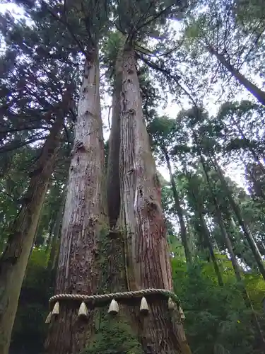 御岩神社(茨城県)