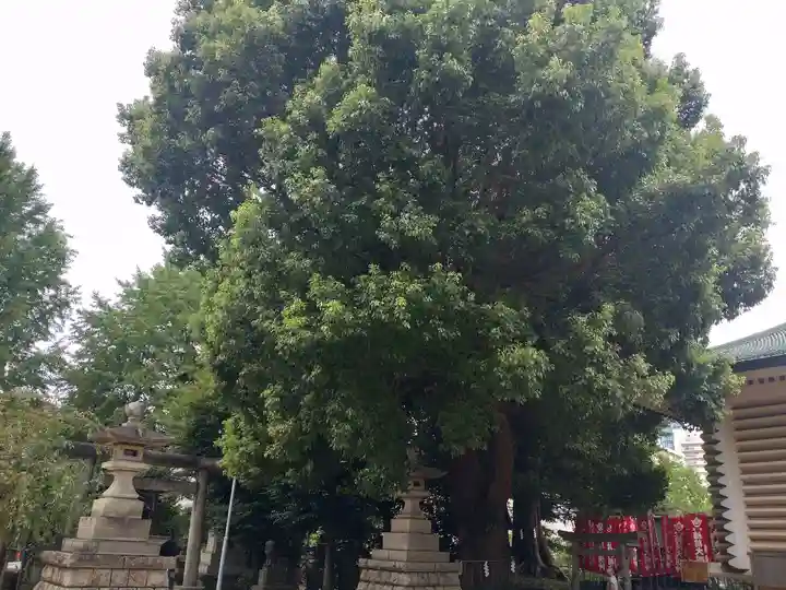 諏訪神社(東京都)