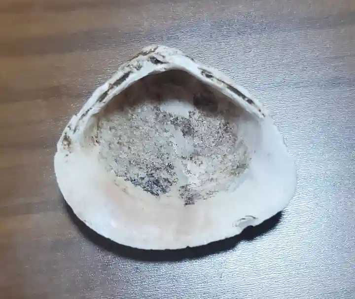 篠山神社(栃木県)