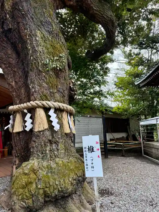座間神社の{uncategorized: "未分類", other: "その他", undefined: "問題あり", building: "その他建物", grave: "お墓", sacred_gate: "鳥居", guardian: "狛犬", statue: "像", buddha: "仏像", history: "歴史", nature: "自然", garden: "庭園", animal: "動物", pagoda: "塔", temizu: "手水舎", mountain_gate: "山門・神門", sanctuary: "本殿・本堂", subordinate: "末社・摂社", art: "芸術", scenery: "景色", jizo: "地蔵", ema: "絵馬", goshuin: "御朱印", omikuji: "おみくじ", items: "授与品その他", amulet: "お守り", goshuincho: "御朱印帳", eats: "食事", festival: "お祭り", votive_dance: "神楽", shichigosan: "七五三参", wedding: "結婚式", experience: "体験その他", initially: "初詣", around: "周辺", anti_infection: "感染症対策"}