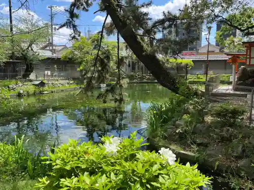真清田神社(愛知県)