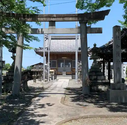 白髭神社の鳥居