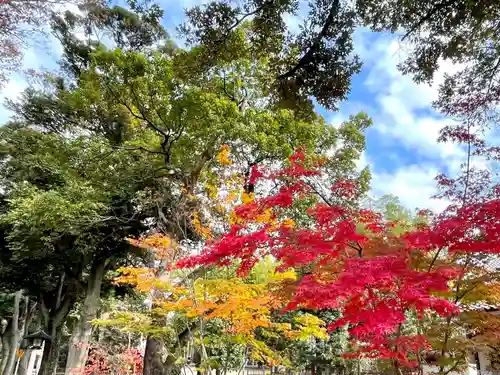 武蔵一宮氷川神社の自然