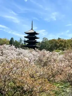 仁和寺の{uncategorized: "未分類", other: "その他", undefined: "問題あり", building: "その他建物", grave: "お墓", sacred_gate: "鳥居", guardian: "狛犬", statue: "像", buddha: "仏像", history: "歴史", nature: "自然", garden: "庭園", animal: "動物", pagoda: "塔", temizu: "手水舎", mountain_gate: "山門・神門", sanctuary: "本殿・本堂", subordinate: "末社・摂社", art: "芸術", scenery: "景色", jizo: "地蔵", ema: "絵馬", goshuin: "御朱印", omikuji: "おみくじ", items: "授与品その他", amulet: "お守り", goshuincho: "御朱印帳", eats: "食事", festival: "お祭り", votive_dance: "神楽", shichigosan: "七五三参", wedding: "結婚式", experience: "体験その他", initially: "初詣", around: "周辺", anti_infection: "感染症対策"}