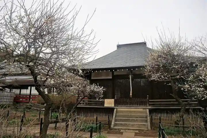 本土寺の本殿・本堂