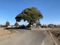 真光寺(千葉県)