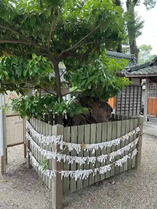 小垣江神明神社(愛知県)