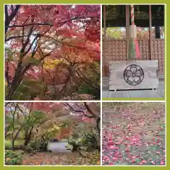 勝持寺（花の寺）(京都府)