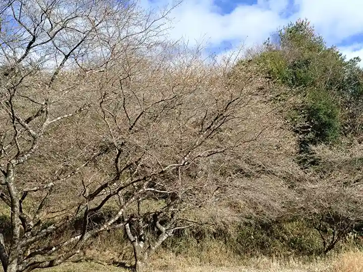 祝峰寺(愛知県)