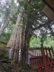 日光二荒山神社中宮祠(栃木県)