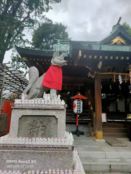 馬橋稲荷神社の狛犬