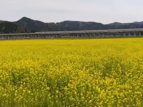 白山神社(福井県)