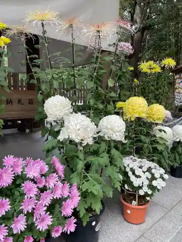 阿佐ヶ谷神明宮(東京都)