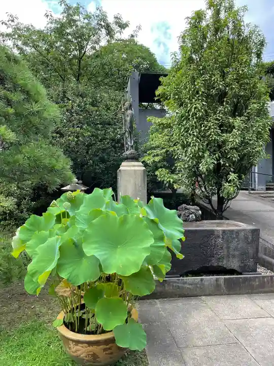 天王寺(東京都)