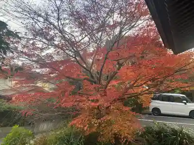 二伝寺(ニ傳寺)(神奈川県)