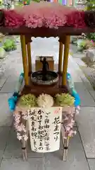 如法寺（鳥追観音）(福島県)