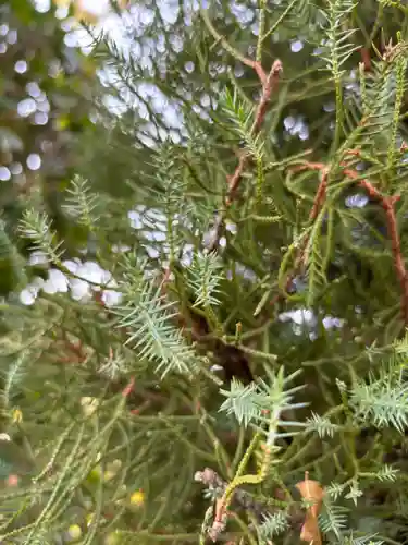 良仙寺(兵庫県)