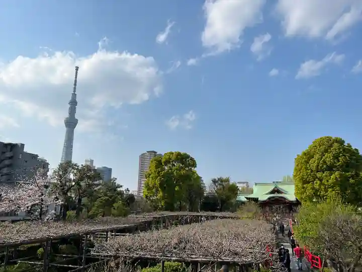 亀戸天神社(東京都)