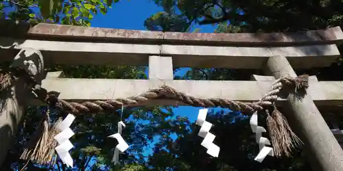 宗像神社の鳥居