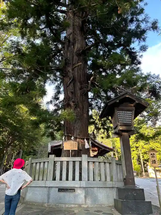 諏訪大社下社秋宮(長野県)