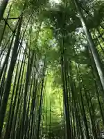 報国寺(神奈川県)