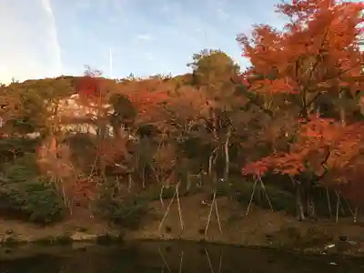 高台寺（高台寿聖禅寺・高臺寺）(京都府)