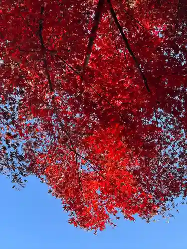 慈光寺(埼玉県)