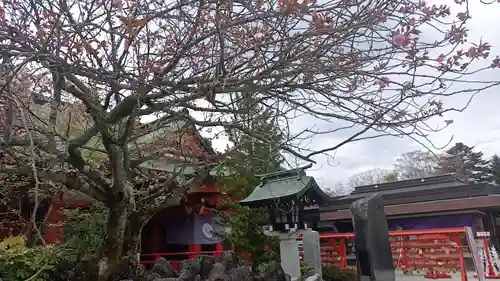 宮城縣護國神社の自然