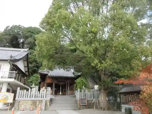 水尾神社(兵庫県)