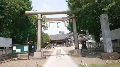 浅草神社の鳥居