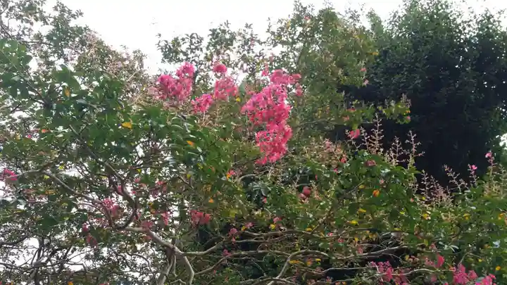 村山浅間神社の自然